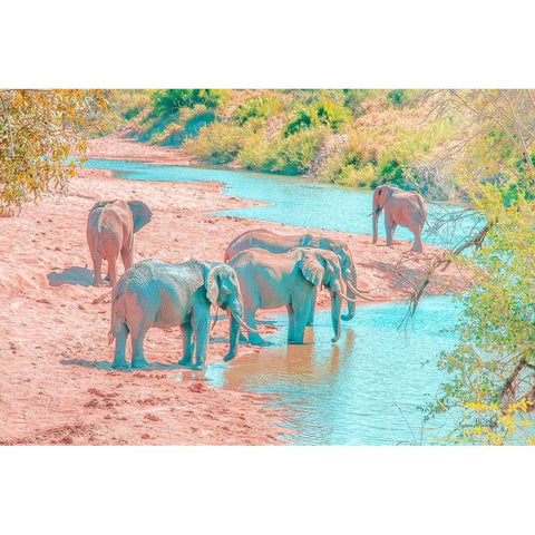 Waterhole Rendezvous II White Modern Wood Framed Art Print by Murdock, Ramona