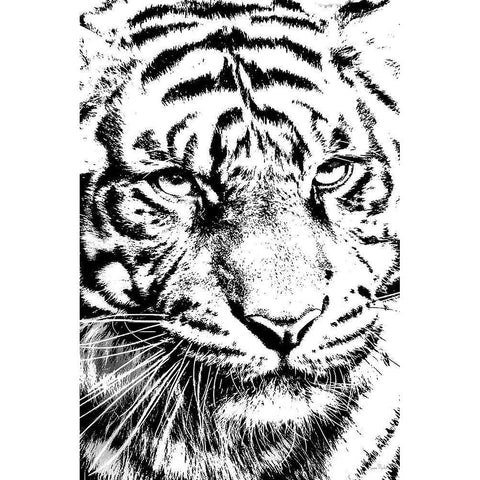 Kitty Kitty Gold Ornate Wood Framed Art Print with Double Matting by Murdock, Ramona