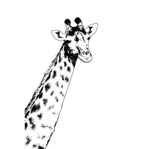 Giraffe Black Modern Wood Framed Art Print with Double Matting by Murdock, Ramona