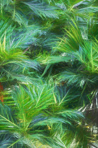 Tropical Leaves I White Modern Wood Framed Art Print with Double Matting by Murdock, Ramona