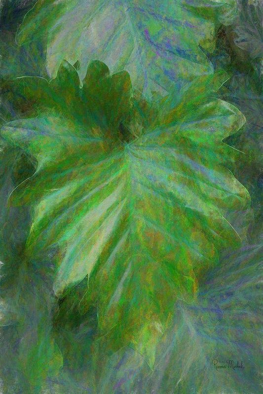 Image Only