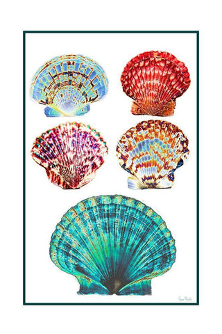 Seashell Collection I Black Ornate Wood Framed Art Print with Double Matting by Murdock, Ramona