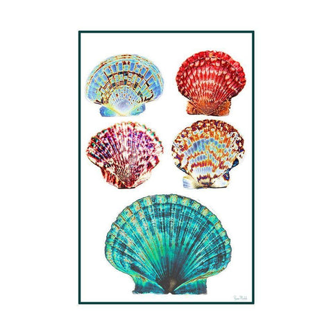Seashell Collection I Black Modern Wood Framed Art Print by Murdock, Ramona