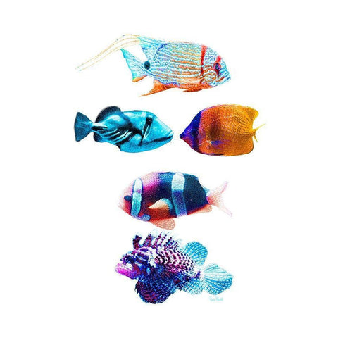 Fish Tank Black Modern Wood Framed Art Print with Double Matting by Murdock, Ramona