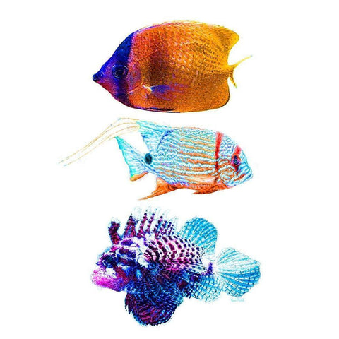 Fish Trio Black Modern Wood Framed Art Print by Murdock, Ramona