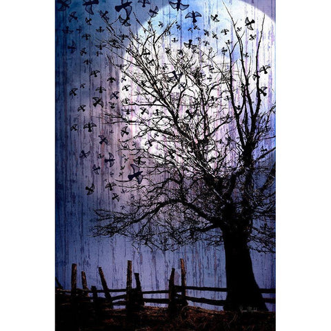 Bird Swarm Black Modern Wood Framed Art Print by Murdock, Ramona