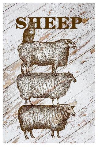 Sheep Black Ornate Wood Framed Art Print with Double Matting by Murdock, Ramona