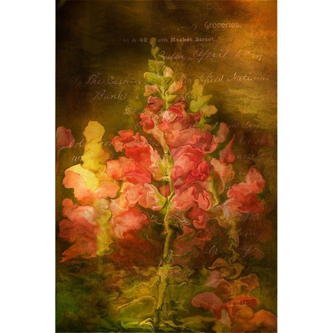 Snapdragon Twilight I Gold Ornate Wood Framed Art Print with Double Matting by Murdock, Ramona