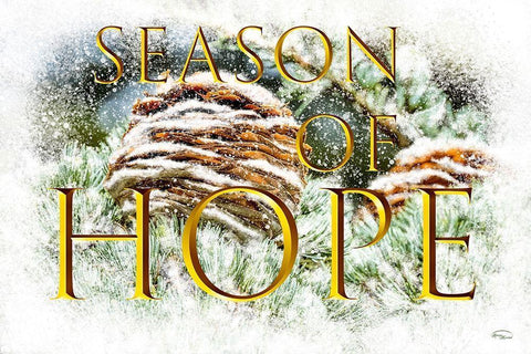 Season of Hope Black Ornate Wood Framed Art Print with Double Matting by Murdock, Ramona
