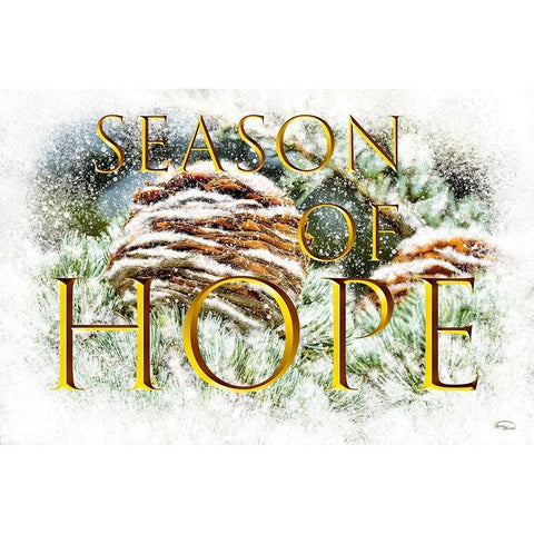 Season of Hope Black Modern Wood Framed Art Print by Murdock, Ramona