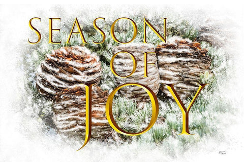 Season of Joy Black Ornate Wood Framed Art Print with Double Matting by Murdock, Ramona