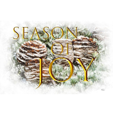 Season of Joy Black Modern Wood Framed Art Print by Murdock, Ramona