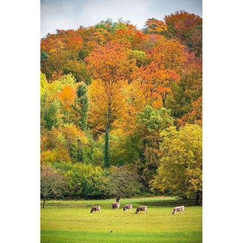 Peaceful Pasture Gold Ornate Wood Framed Art Print with Double Matting by Murdock, Ramona