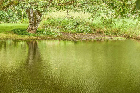 A Place of Peace I Black Ornate Wood Framed Art Print with Double Matting by Murdock, Ramona