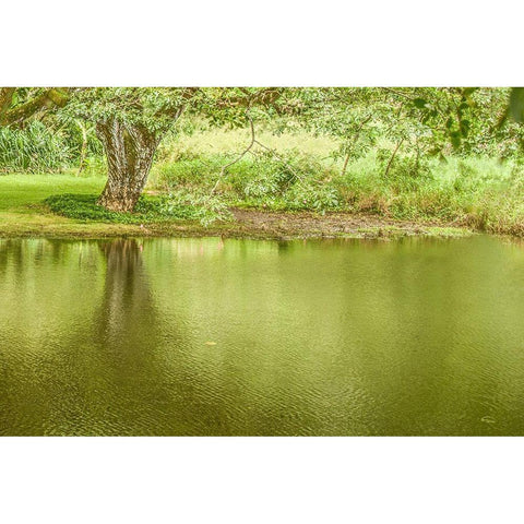 A Place of Peace I Black Modern Wood Framed Art Print by Murdock, Ramona