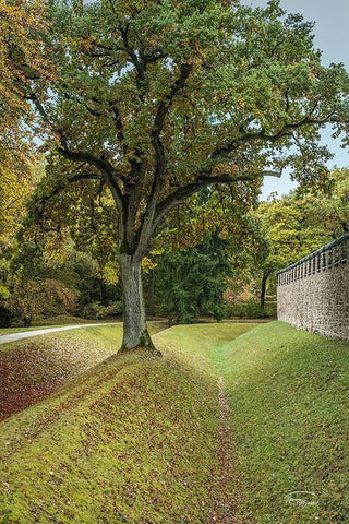 Outside the Wall I Black Ornate Wood Framed Art Print with Double Matting by Murdock, Ramona