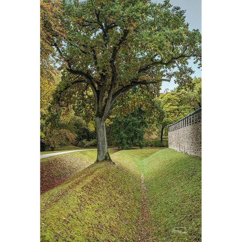 Outside the Wall I White Modern Wood Framed Art Print by Murdock, Ramona