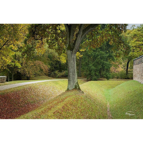 Outside the Wall II Black Modern Wood Framed Art Print by Murdock, Ramona