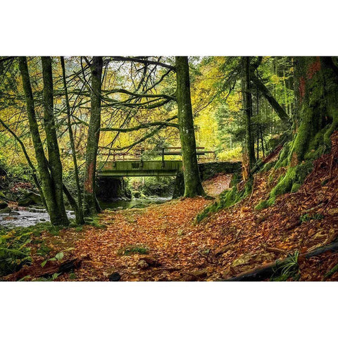 Black Forest River Bridge Black Modern Wood Framed Art Print by Murdock, Ramona