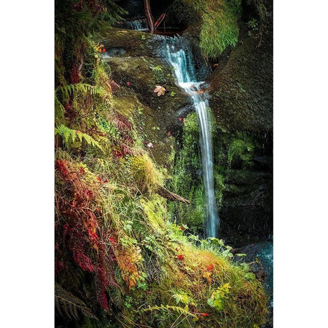 Black Forest Lower Falls Black Modern Wood Framed Art Print with Double Matting by Murdock, Ramona