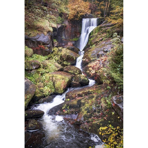 Black Forest Upper Falls Black Modern Wood Framed Art Print by Murdock, Ramona
