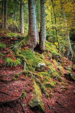 Overseers of the Path White Modern Wood Framed Art Print with Double Matting by Murdock, Ramona