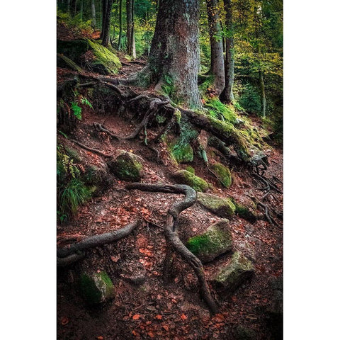 Sentinels Along Our Path Black Modern Wood Framed Art Print with Double Matting by Murdock, Ramona