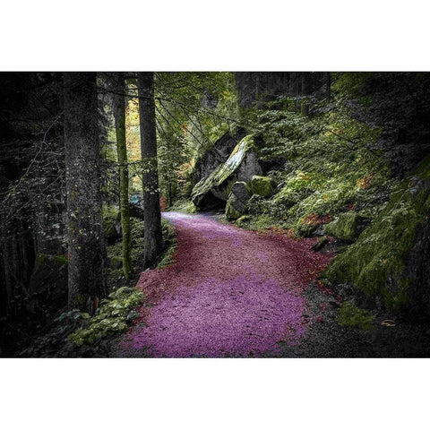 Path to Serenity Black Modern Wood Framed Art Print with Double Matting by Murdock, Ramona