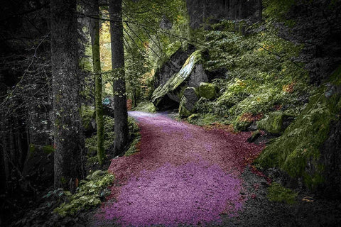 Path to Serenity Black Ornate Wood Framed Art Print with Double Matting by Murdock, Ramona