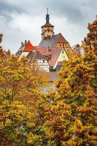 Fall Colors of Rothenburg III Black Ornate Wood Framed Art Print with Double Matting by Murdock, Ramona