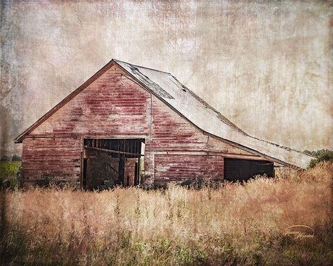 Red Shed Black Ornate Wood Framed Art Print with Double Matting by Murdock, Ramona