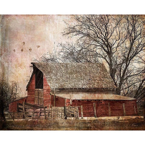 The Old Cope Place White Modern Wood Framed Art Print by Murdock, Ramona