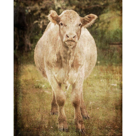 Belle Black Modern Wood Framed Art Print by Murdock, Ramona