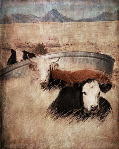 Watering Hole Black Ornate Wood Framed Art Print with Double Matting by Murdock, Ramona