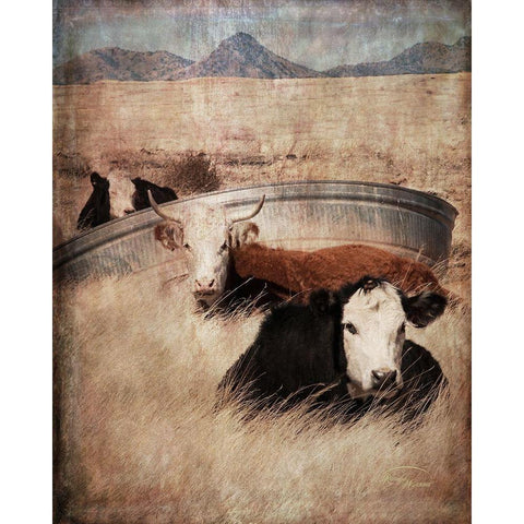 Watering Hole Black Modern Wood Framed Art Print with Double Matting by Murdock, Ramona