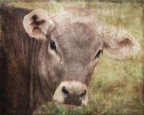 Bossie White Modern Wood Framed Art Print with Double Matting by Murdock, Ramona