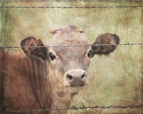 Little Bess White Modern Wood Framed Art Print with Double Matting by Murdock, Ramona