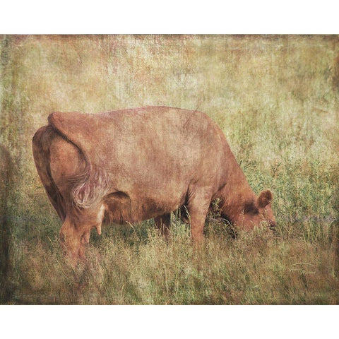 Lush Pastures Black Modern Wood Framed Art Print with Double Matting by Murdock, Ramona