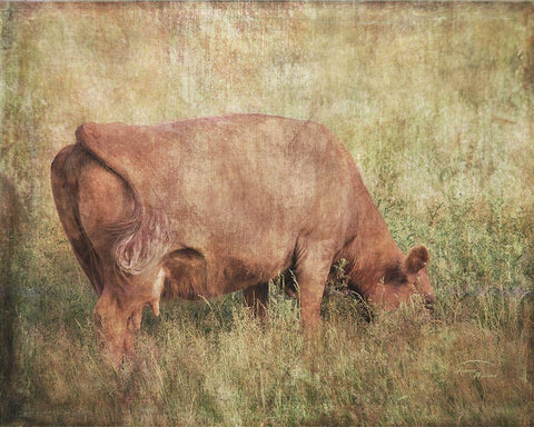 Lush Pastures White Modern Wood Framed Art Print with Double Matting by Murdock, Ramona