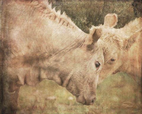 My First Love Black Ornate Wood Framed Art Print with Double Matting by Murdock, Ramona