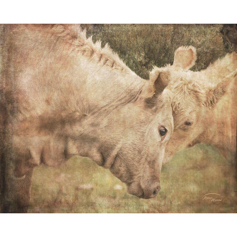 My First Love White Modern Wood Framed Art Print by Murdock, Ramona