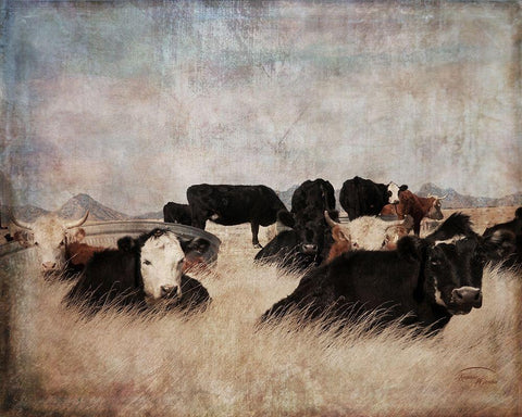 Takin It Easy White Modern Wood Framed Art Print with Double Matting by Murdock, Ramona