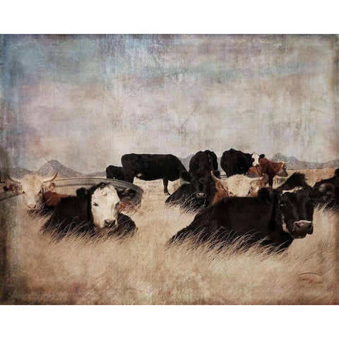 Takin It Easy Black Modern Wood Framed Art Print by Murdock, Ramona