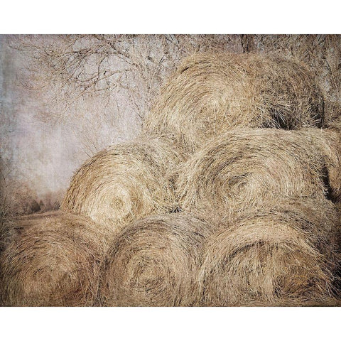 Round Bales Black Modern Wood Framed Art Print by Murdock, Ramona