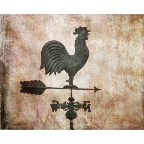 Weathervane Black Modern Wood Framed Art Print with Double Matting by Murdock, Ramona