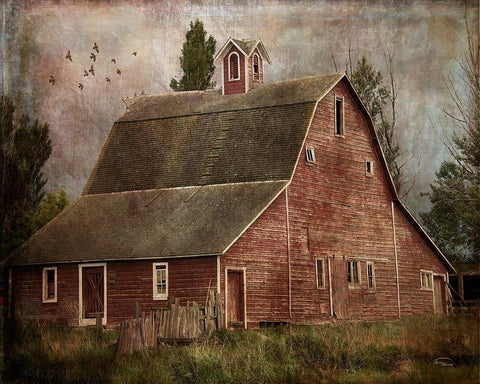 Yesterday II Black Ornate Wood Framed Art Print with Double Matting by Murdock, Ramona