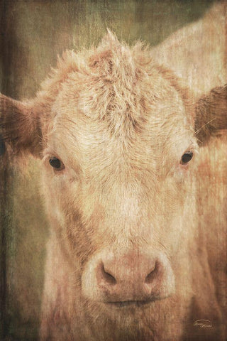 Henrietta Black Ornate Wood Framed Art Print with Double Matting by Murdock, Ramona