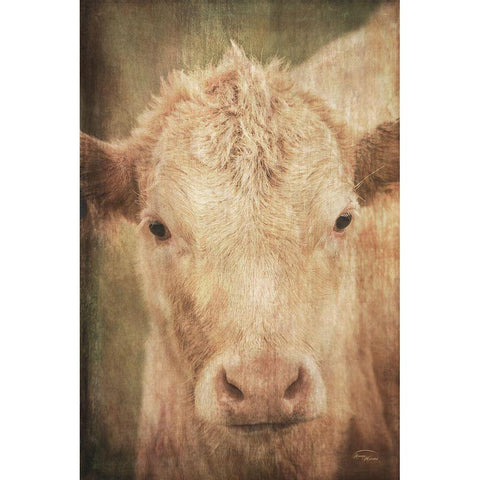 Henrietta White Modern Wood Framed Art Print by Murdock, Ramona