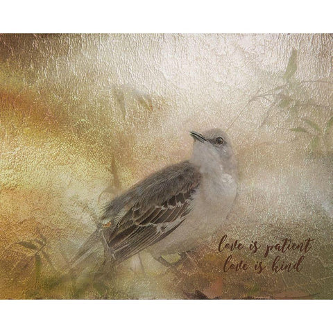 Love is Patient Black Modern Wood Framed Art Print with Double Matting by Murdock, Ramona