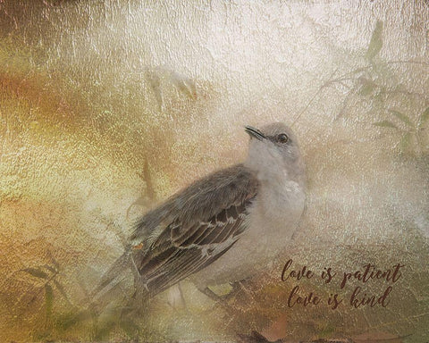 Love is Patient Black Ornate Wood Framed Art Print with Double Matting by Murdock, Ramona